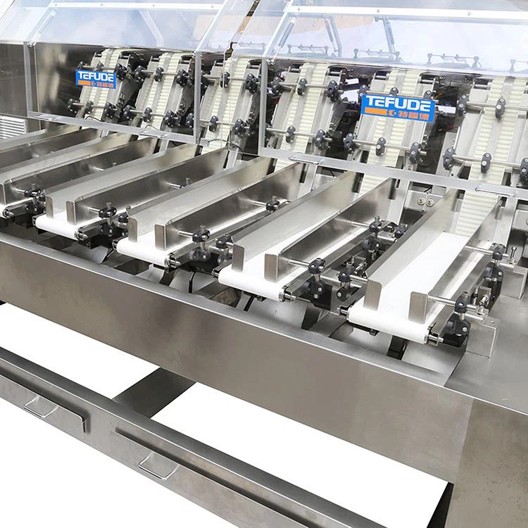 cracker sticks French bread  sticks automatic counting filling machine customized manufacturing